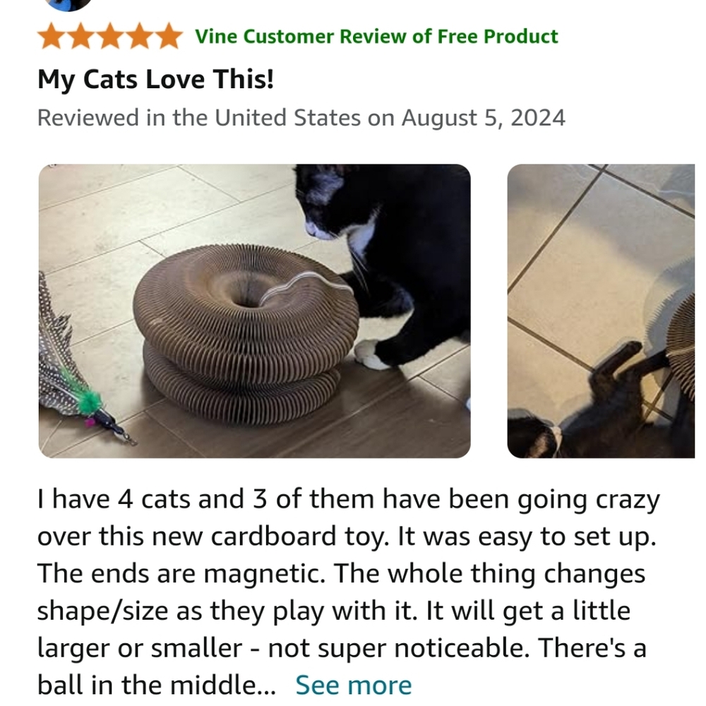 Cat Toy - Picture 7 of 8